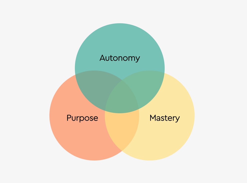 🧐 Components of intrinsic motivation